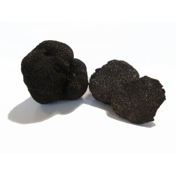 Truffes noires du périgord entières extra 1e cuisson (tuber melanosporum) 70g