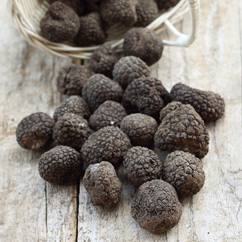 Truffes