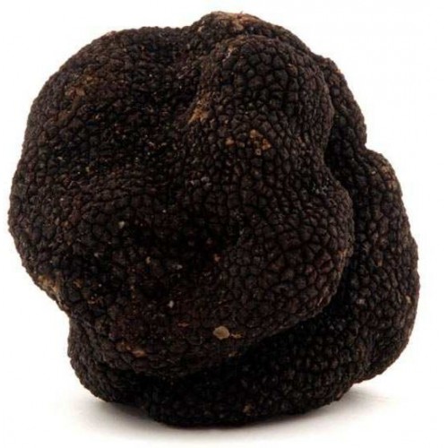 Truffes d'été (Tuber Aestivum)